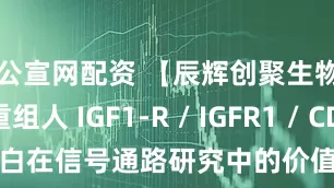 公宣网配资 【辰辉创聚生物】重组人 IGF1-R / IGFR1 / CD221 蛋白在信号通路研究中的价值_受体_细胞_功能域