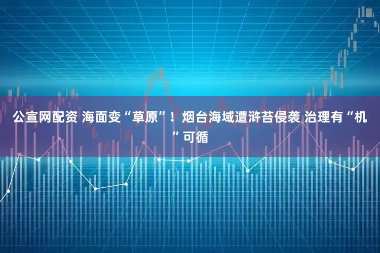 公宣网配资 海面变“草原”！烟台海域遭浒苔侵袭 治理有“机”可循