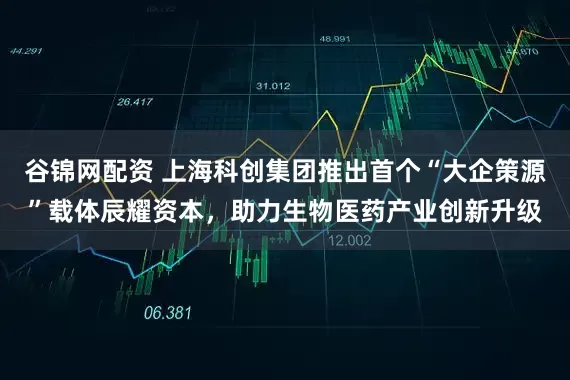 谷锦网配资 上海科创集团推出首个“大企策源”载体辰耀资本，助力生物医药产业创新升级