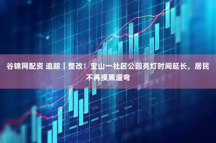 谷锦网配资 追踪｜整改！宝山一社区公园亮灯时间延长，居民不再摸黑遛弯