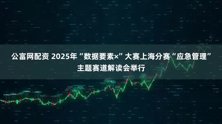 公富网配资 2025年“数据要素×”大赛上海分赛“应急管理”主题赛道解读会举行