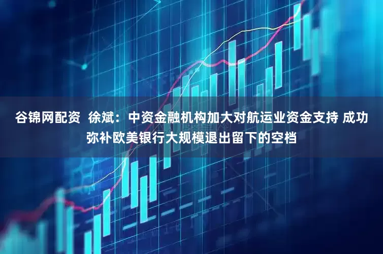 谷锦网配资  徐斌：中资金融机构加大对航运业资金支持 成功弥补欧美银行大规模退出留下的空档